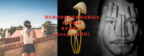 соль ск Алзамай